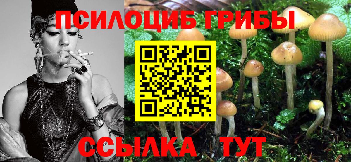 Галлюциногенные грибы Psilocybe Орёл
